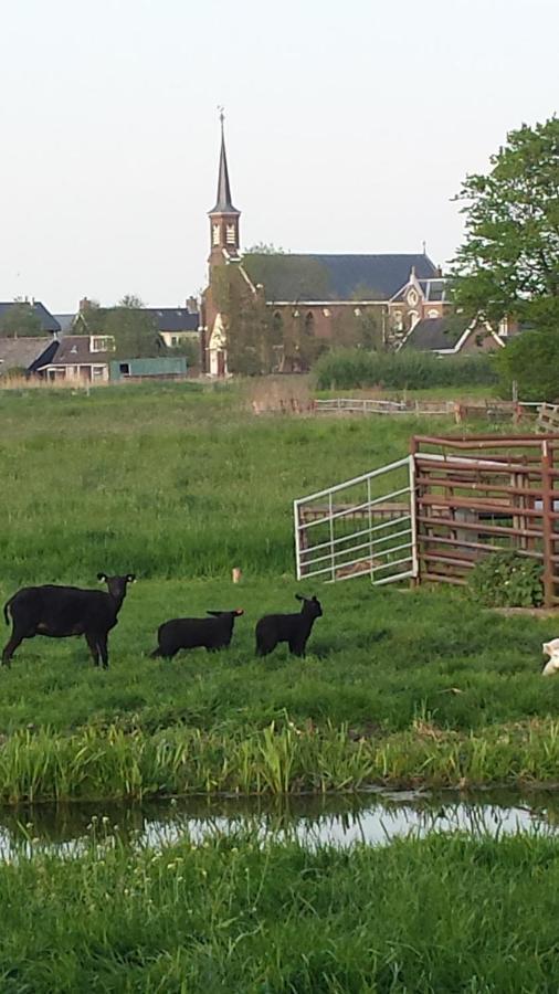 Zegveld Het Kraaienbosch B&B 외부 사진